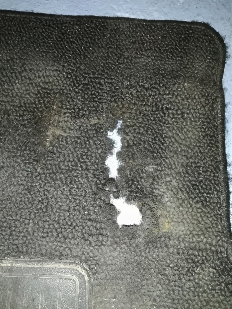 Click image for larger version  Name:	Carpet 2.jpg Views:	1 Size:	657.9 KB ID:	391662 Click image for larger version  Name:	Carpet 2.jpg Views:	1 Size:	657.9 KB ID:	391662