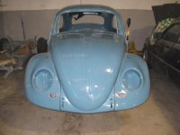 beetle4.JPG