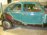 beetle2.JPG
