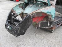 beetle5.JPG