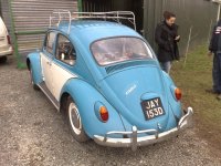 66beetlerear2.jpg