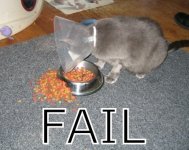 fail..jpg