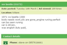 beetle3..JPG