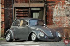 beetle-14.jpg