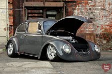 beetle-29.jpg