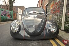 beetle-3.jpg