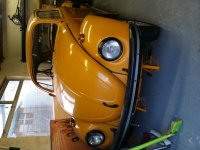 Beetle front.jpg