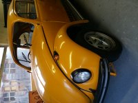 Beetle front & side.jpg
