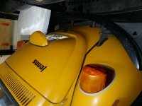 Beetle rear.jpg