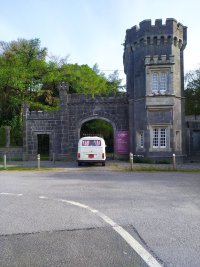 IMG_20250413_090435.jpg
