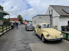 World VW Beetle Day 2025 22-6-25 Loughmore (49).JPEG