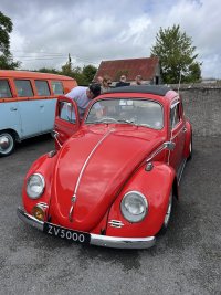World VW Beetle Day 2025 22-6-25 Loughmore (57).JPEG