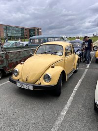 IMG_2659.jpeg