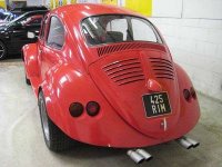 Funny beetle 1.jpg Funny beetle 1.jpg