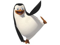 penguin.jpg