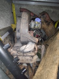 IMG_20260617_103628.jpg