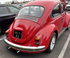 IMG_9238.jpeg