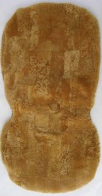 bez-pw-camel-liegt.jpg