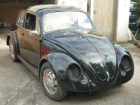 beetle front 1.jpg