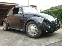beetle front.jpg