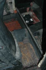 BlackBug (9).jpg
