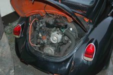 BlackBug (13).jpg