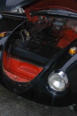 BlackBug (3).jpg