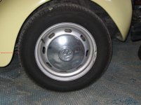 bugwheel.jpg