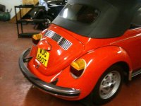 BEETLE.jpg
