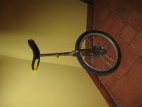 IMG_1344.JPG